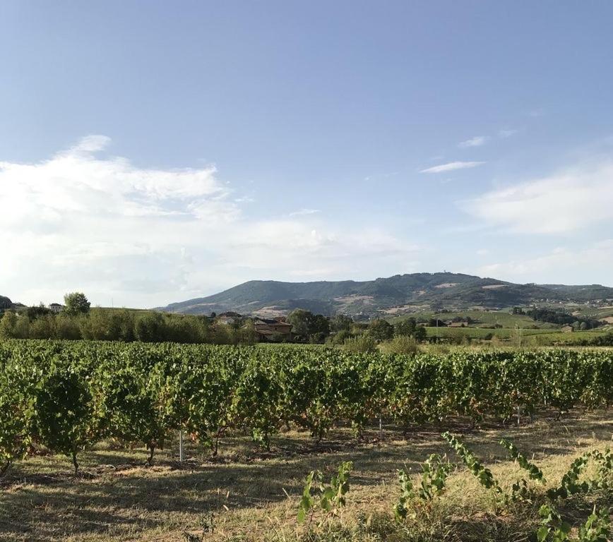 La Boheme, Gite De Charme Quincié-en-Beaujolais المظهر الخارجي الصورة