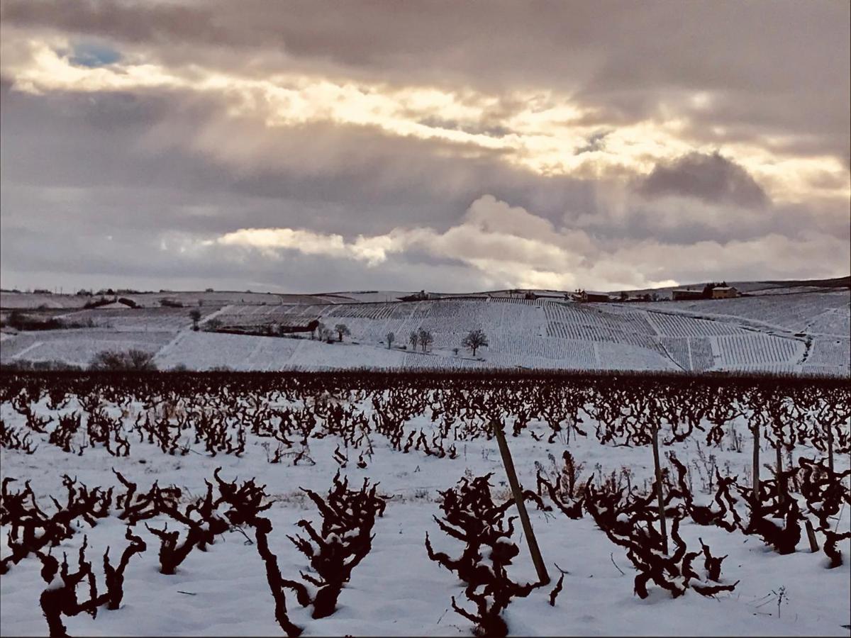 La Boheme, Gite De Charme Quincié-en-Beaujolais المظهر الخارجي الصورة